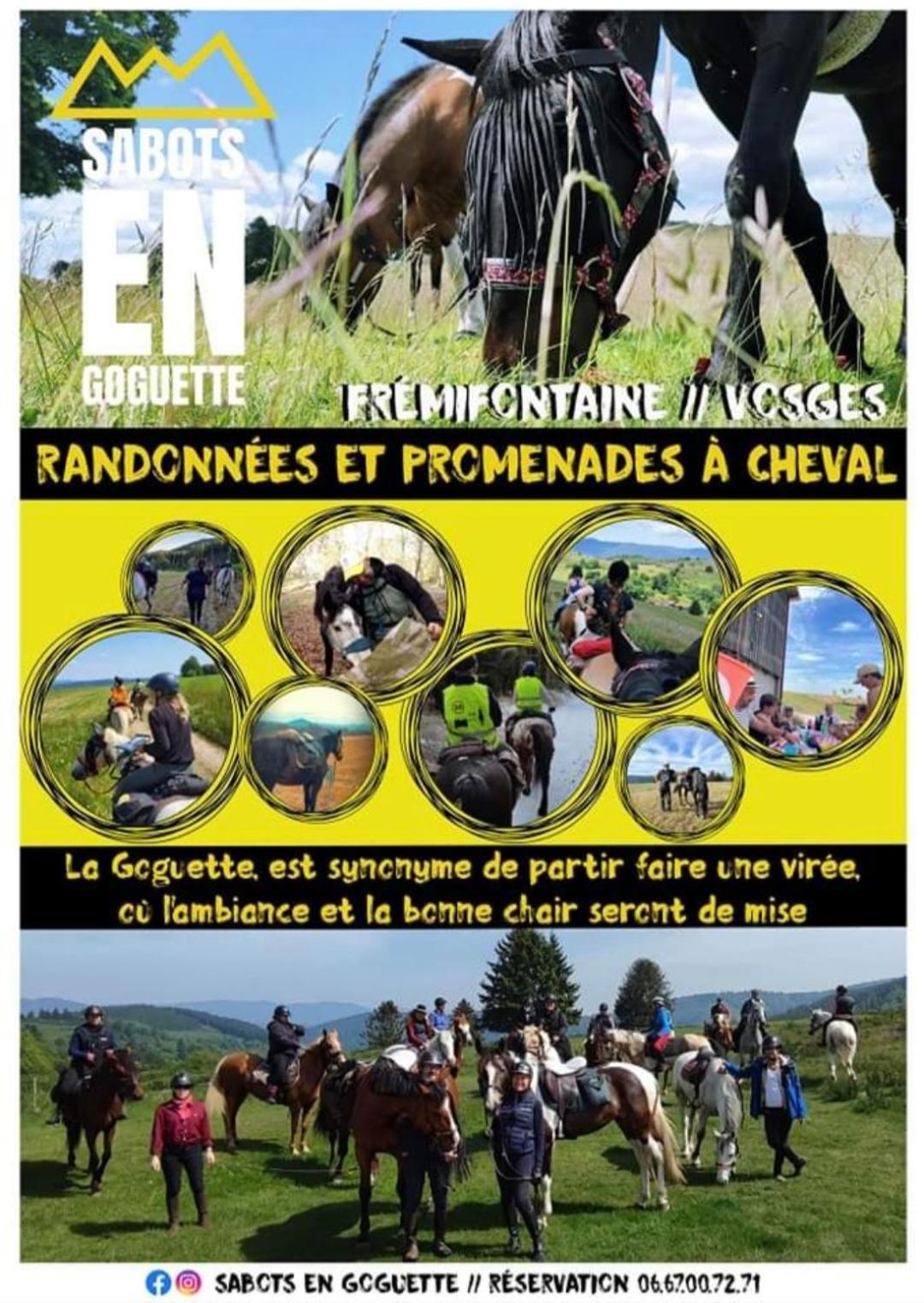 Les Vergers D'Epona "Fremifontaine Vosges" 외부 사진